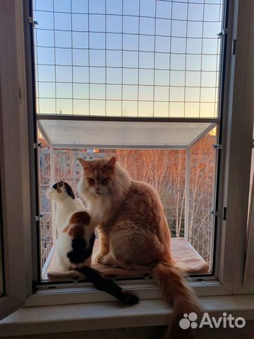 Котобалкончик, Балкончик для кошки на окно