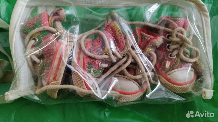 Вещи для чихуахуа или собаки мелкой породы