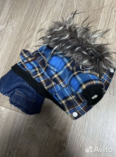 Одежда для собак