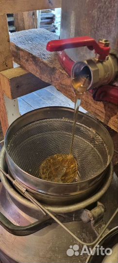 Мёд с личной пасеки