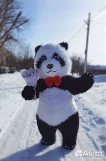 Поздравление от панды, ростовая кукла