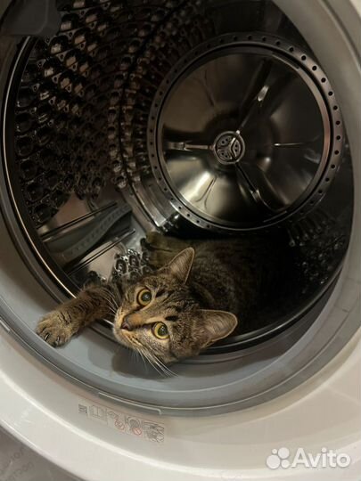 Ремонт Стиральных и Посудомоечных машин на дому