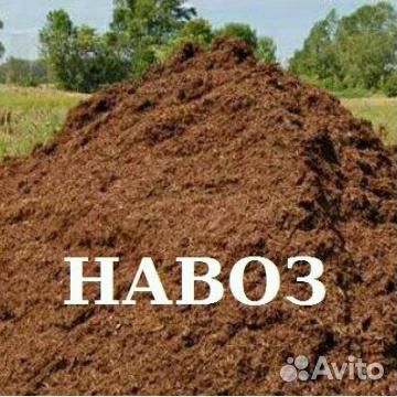 Навоз