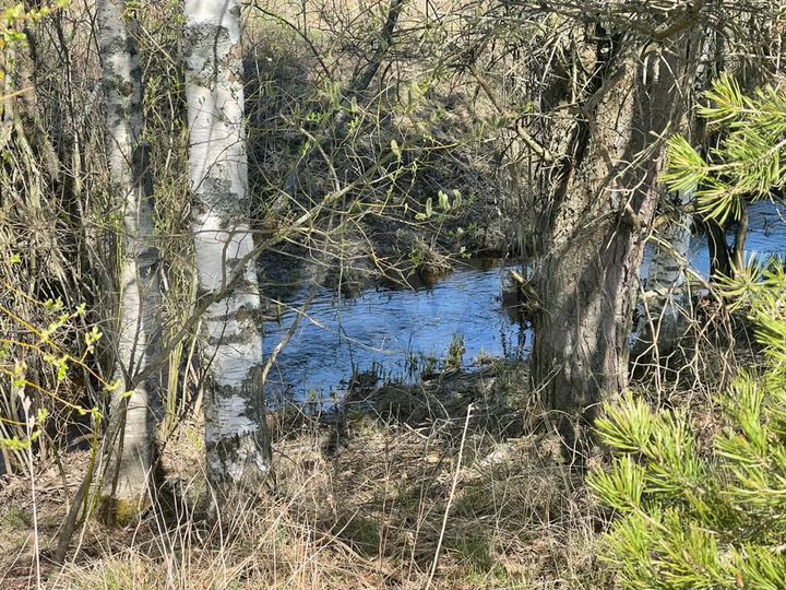 Участок 100 сот. (СНТ, ДНП)