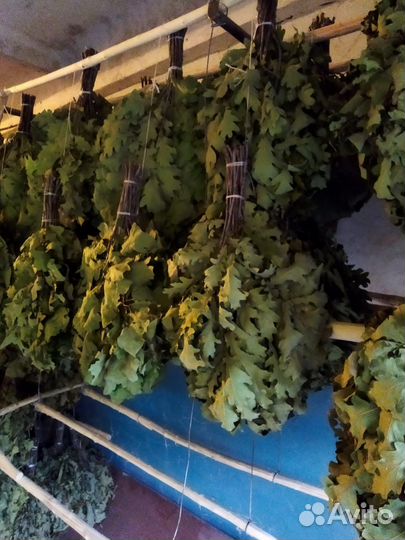 Продам веники для бани