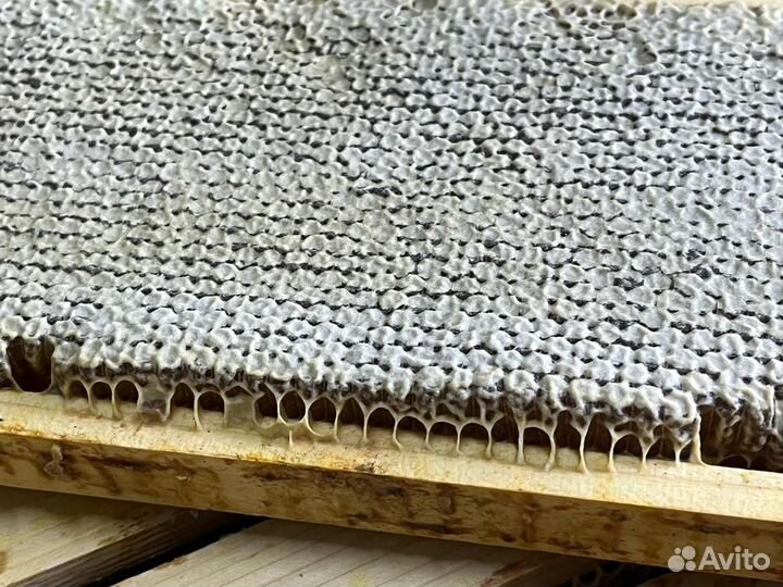 Мед сотовый Свежий урожай