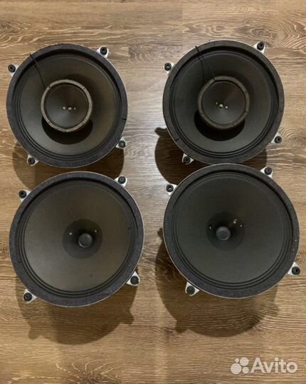 Saba permadyn blackcone