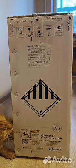 Электросамокат Ninebot KickScooter f25e черный