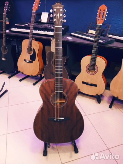 Parkwood S22M с чехлом