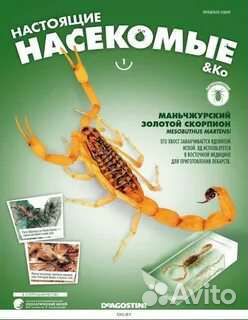 Настоящие насекомые журнал с вложением