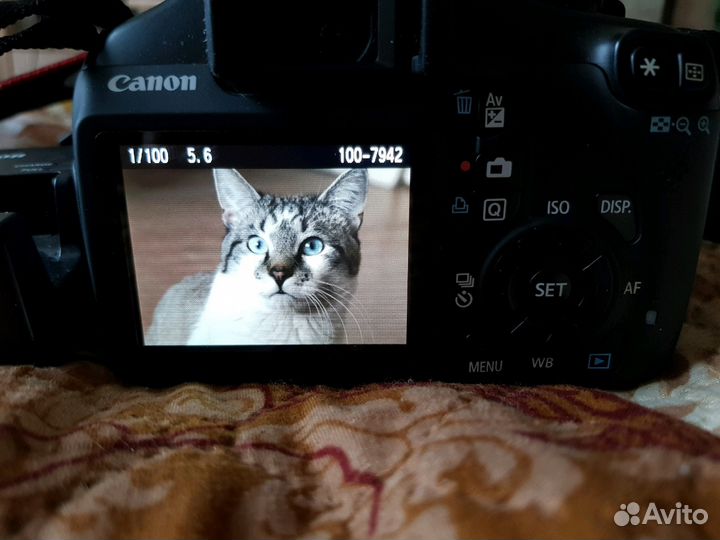 Фотоаппарат Canon EOS 1100D