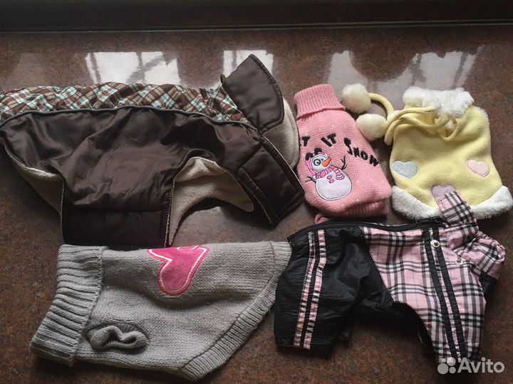 Одежка для вашего любимца