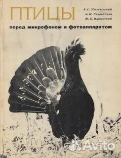 Книги о Спорте охоте рыбалке