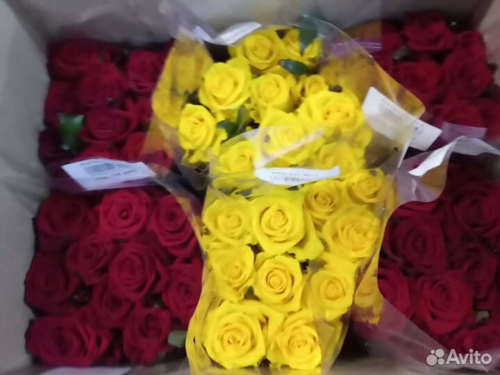 Цветы (розы) оптом