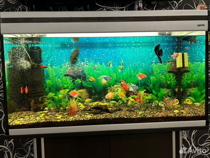 Аквариум