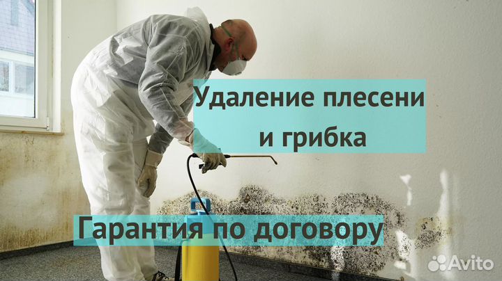 Удаление плесени и грибка