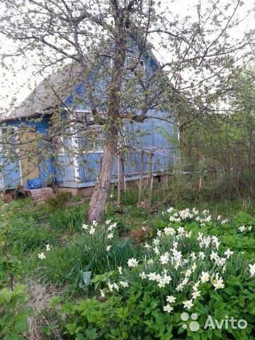Снимаю дача ленинский. Снимаю дача ленинский. Снимаю дача ленинский. Дачная улин. Снт источник ленинск кузнецкий.