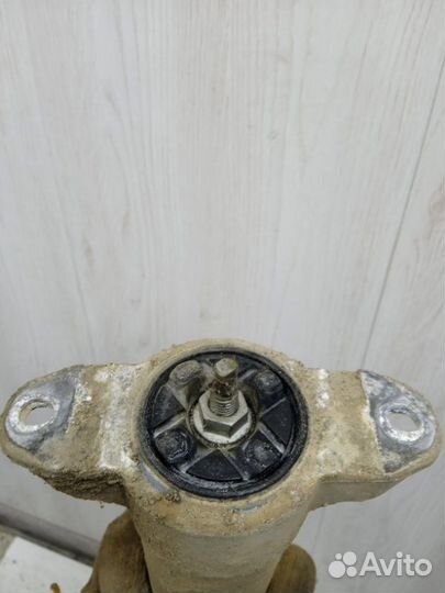 Амортизатор задний Ford Focus седан iqdb CT76310