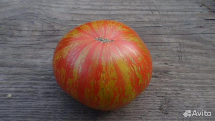 Семена томатов серия гномы