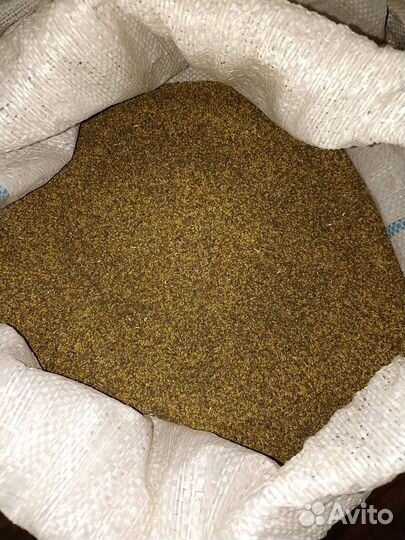 Семена люцерны