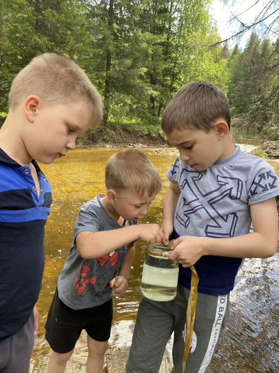 Дом 36 м² на участке 10 га