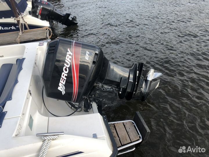 Mercury 250 EFI