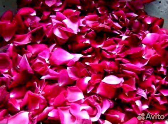 Лепестки роз
