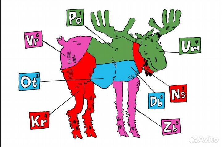 Иллюстратор