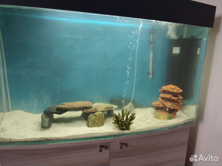 Аквариум с тумбой 200 л б/у