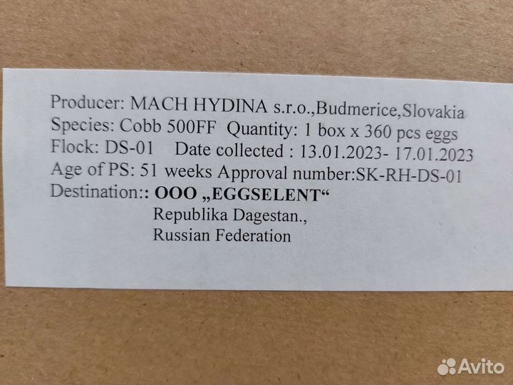 Инкубационное яйцо бройлера Кобб 500