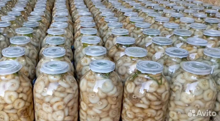 Грузди бочковой посол не крупные 5-7 сантиметров