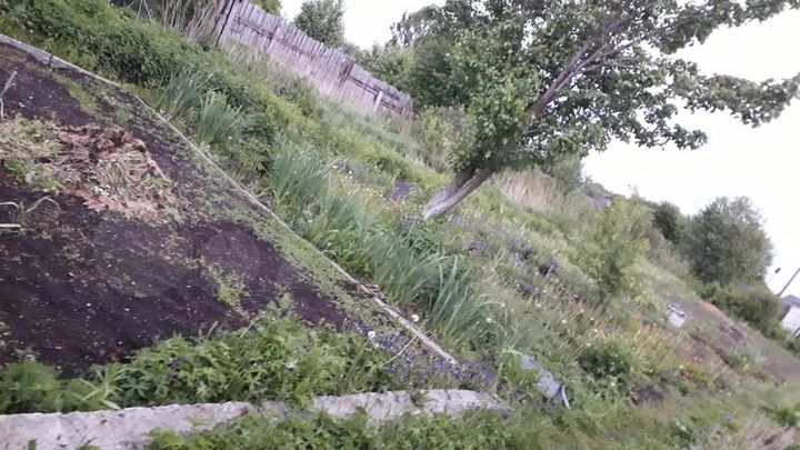 Участок 3,8 сот. (СНТ, ДНП)