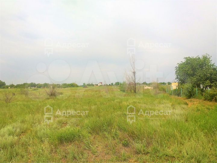 Участок 14 сот. (СНТ, ДНП)