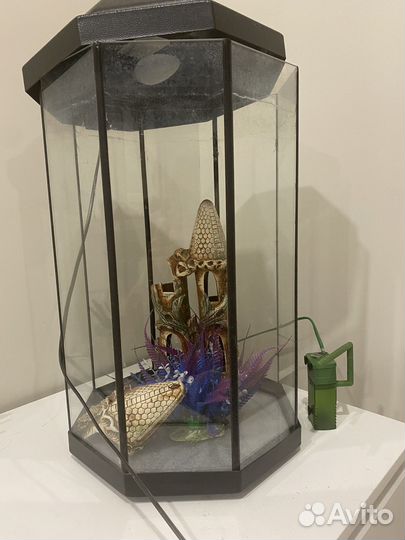 Аквариум для рыбок