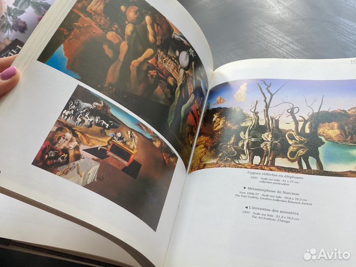 Книга Salvador Dali