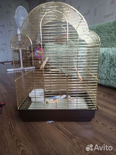 Клетка для птиц