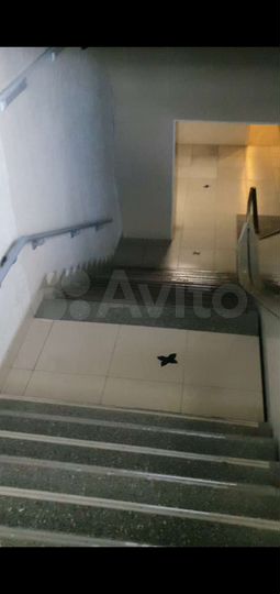 Свободного назначения, 34 м²