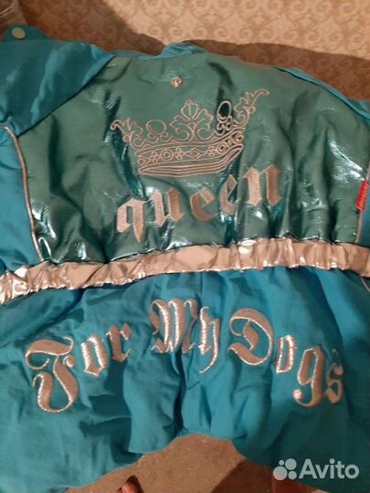 Костюм для собаки