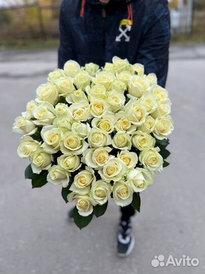 Голландская белая роза от 15шт 70см