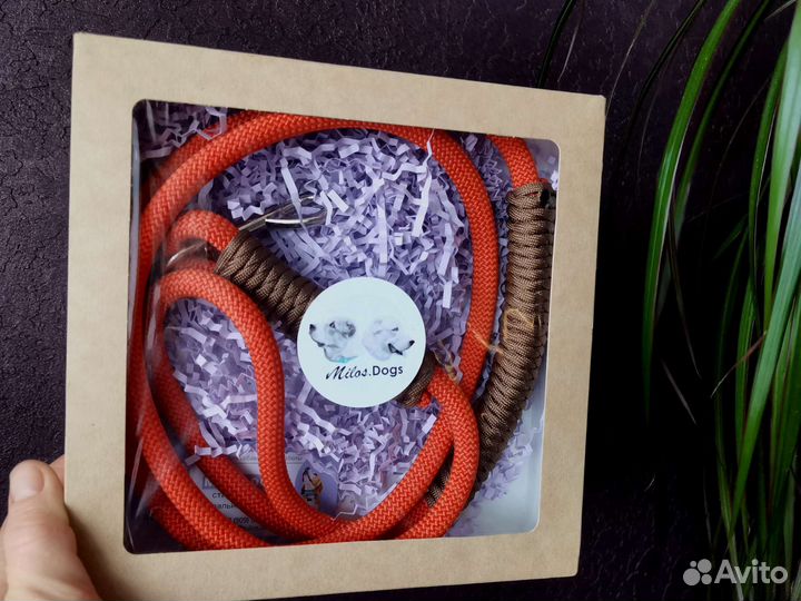 Поводок для собак