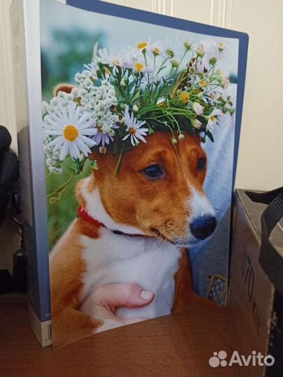 Фотоаппарат nikon d70