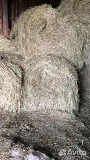 Сено в рулонах 350кг
