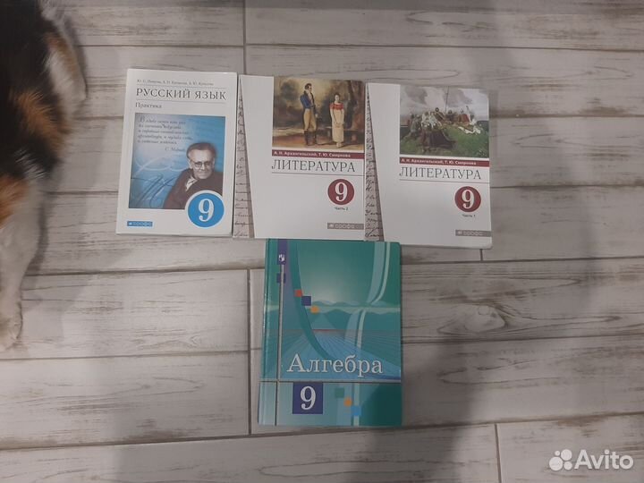 Учебники 9 класс