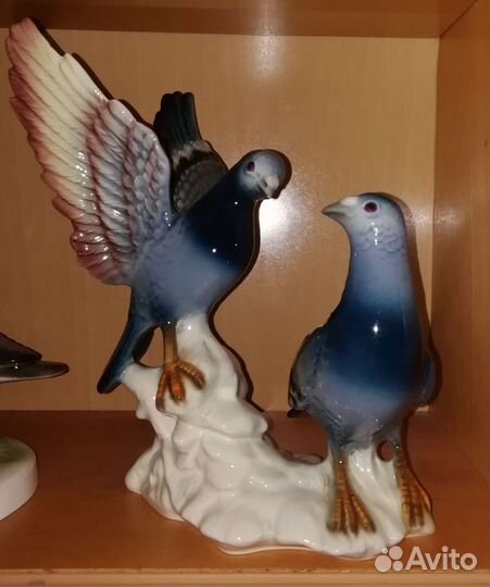 Почтовые Голуби. Большая коллекция