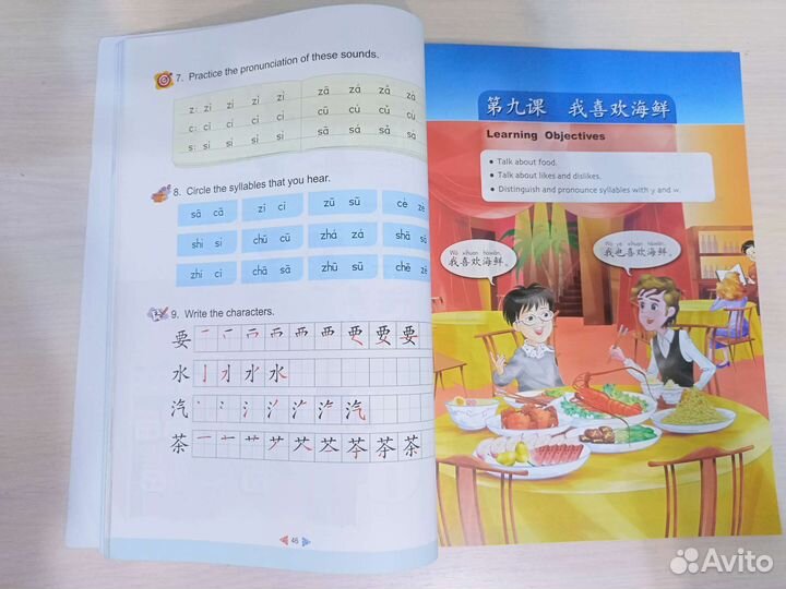 Учебник и тетрадь по китайскому