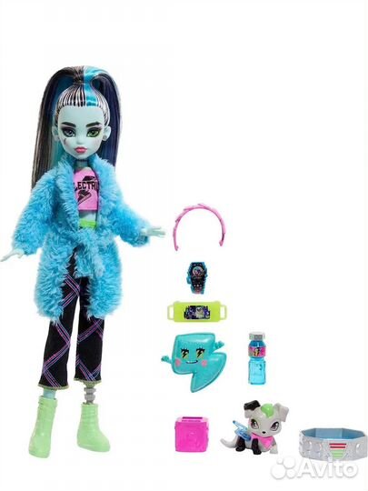 Monster high Frenkie монстр хай Френки