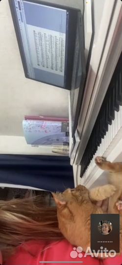 Преподаватель по вокалу, фортепиано, сольфеджио