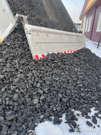 «Уголь» каменный (до) орех