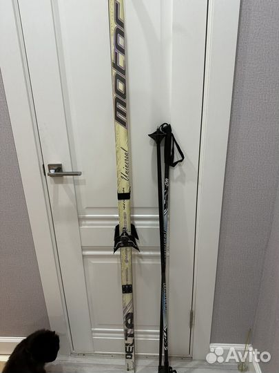 Лыжи беговые с палками