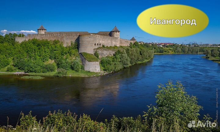 Трансфер микроавтобус Россия Прибалтика